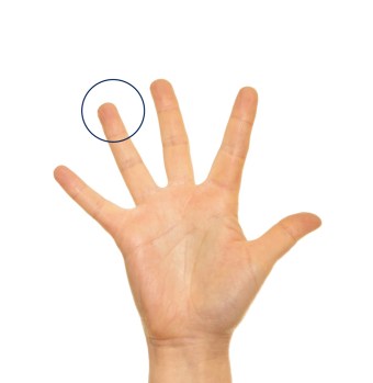 thumb_IMGP4512_1024 copy